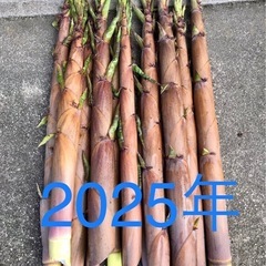 交換♦︎2025.5〜6♦︎タケノコ/筍/淡竹♦︎農家の方々何で...