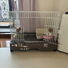 うさぎ、モルモット、犬ゲージ