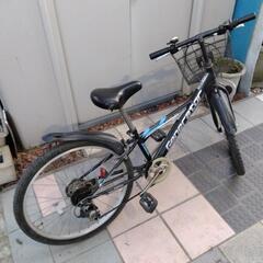 マウンテンバイク24インチ