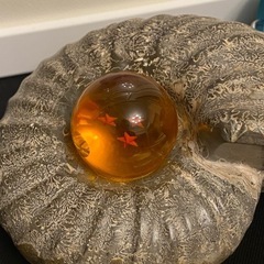 ★ ドラゴンボール ★の画像