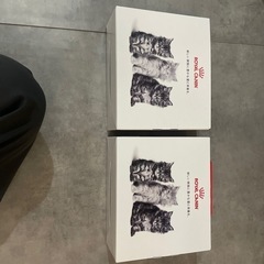 猫飼うための基本セット
の画像