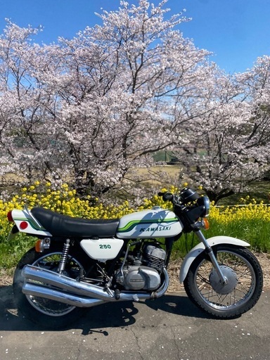 250SSド初期型フレーム番号3桁 (ss) 中妻のカワサキの中古あげます