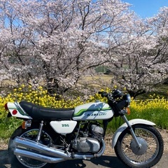 250SSド
初期型フレーム番号3桁の画像