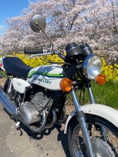 250SSド初期型フレーム番号3桁 (ss) 中妻のカワサキの中古 250SSド初期型フレーム番号3桁 (ss) 中妻のカワサキの中古