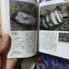 釣本の画像