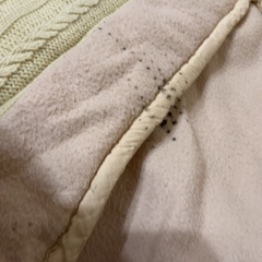 こたつ布団の画像