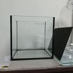 コトブキ レグラス 水槽