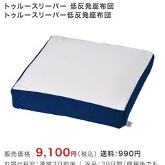 トゥルースリーパー座布団クッション2枚 (たん) 新羽のソファ