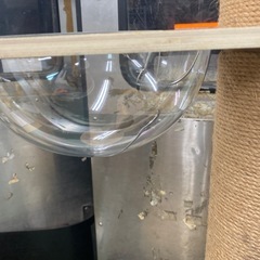 破損有り　新品 キャットタワー　組み立て済み　未使用品　170cmの画像