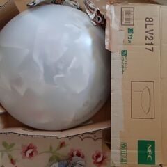 NEC 照明器具