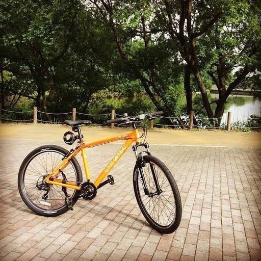 ルイガノ マウンテンバイク 令和6年10月購入