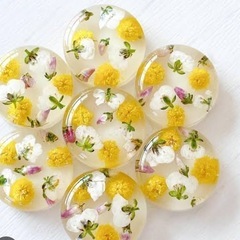 ミモザ　花部分　gdの画像