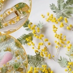 ミモザ　花部分　gdの画像