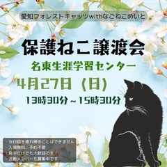 4/27保護猫譲渡会　名古屋