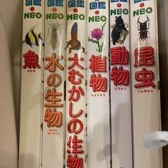 図鑑
