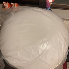 シーリングライト！
