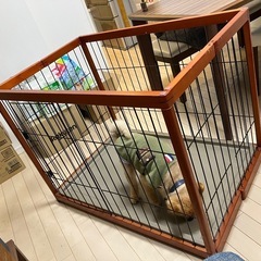 犬用　折りたたみケージの画像