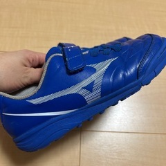 トレシューの画像