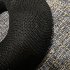 椅子用低反発クッション！在宅ワークや長距離運転などに　　の画像