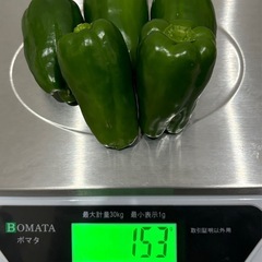 ピーマンの通販｜野菜｜食べチョク｜産地直送(産直)お取り寄せ