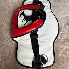 購入者決まりました！BODYMAKER ミットの画像