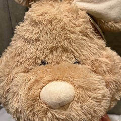 【0円】大きなうさぎちゃん (癒し)の画像