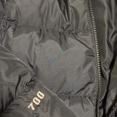大幅値下げTHE NORTH FACE 700フィル
の画像
