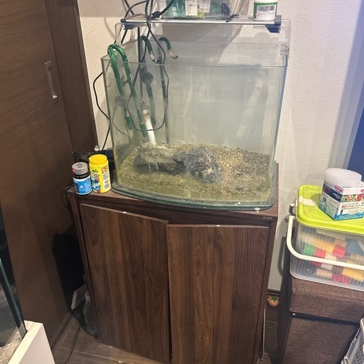 水槽一式お譲りします。 ジェックス GEX MeGreen グラステリア 200セット の通販