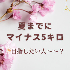 1dayダイエット教室