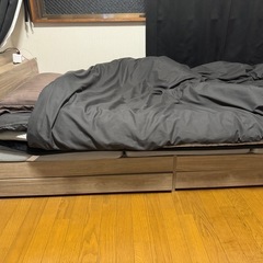 ベット