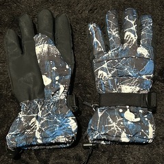 ウィンターグローブの画像