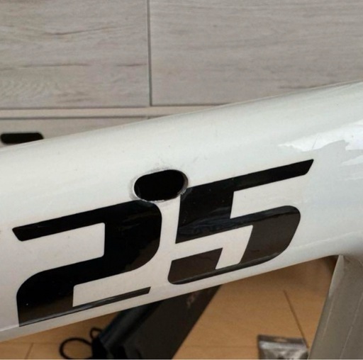 LEADERBIKE725