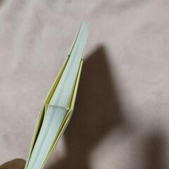 子どもが整理整頓したくなる!お片づけ帖の画像