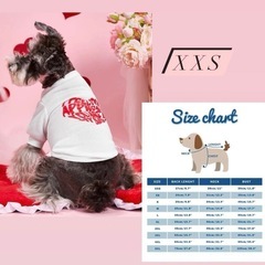 ♡ 《 小型犬・猫用 》超絶カワイイ୨୧⟡.· ペット服スウェット3点set ♡の画像