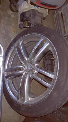 ヨコハマ【YOKOHAMA】Ecos