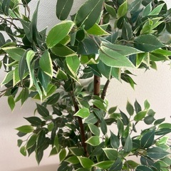 観葉植物 フェイクグリーン 大の画像