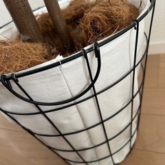 観葉植物 フェイクグリーン 大の画像