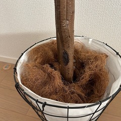 観葉植物 フェイクグリーン 大の画像