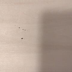 バランスボードの画像