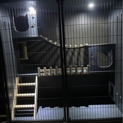 特大　猫ゲージの画像