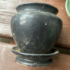 植木鉢5個セット
の画像