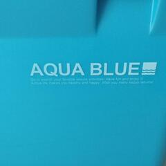 伸和クーラーボックス アクアブルー、中古の画像