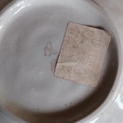小皿、どれでも１枚32円。の画像
