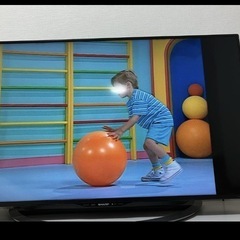 プレイアロング ＤＷＥ ディズニー英語システム 字幕あり play alongの画像