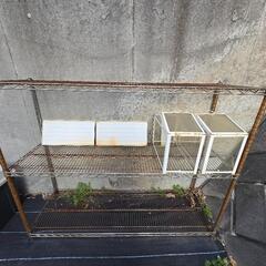 スチールラック & IKEA 温室ガラスケース