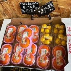 昨日完売品の甘夏の最上級グレード🍊紅さわ香再入荷しました！✨