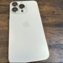 iPhone13pro