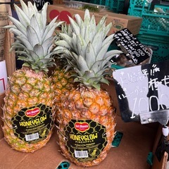 【残2】大好評極甘パイン🍍ハニーグロウの画像