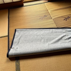 ゴザ　1900の正方形　一部破れありの画像