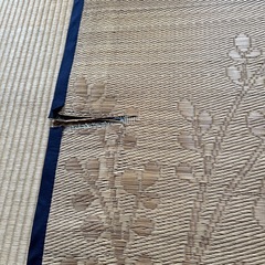ゴザ　1900の正方形　一部破れありの画像